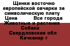 Щенки восточно европейской овчарки за символическую плату › Цена ­ 250 - Все города Животные и растения » Собаки   . Свердловская обл.,Качканар г.